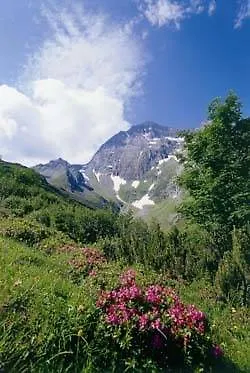 Permoser * Neustift im Stubaital