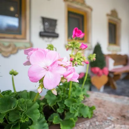 Apartman Permoser *